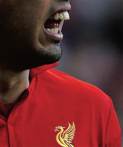 湛江日报数字报-苏牙咬你