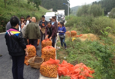 龙里周讯数字报