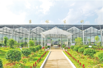 借用数字来加强表达效果的诗句有什么?-形容数