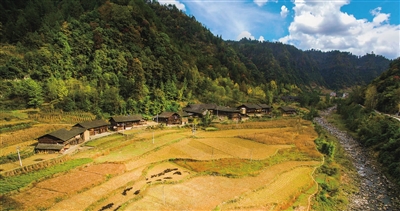 石柱报数字报-监督执纪强问责 清风劲吹好扬帆