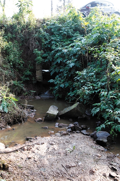 铜梁日报数字报-每年数万公斤鸡粪肥水养鱼 b