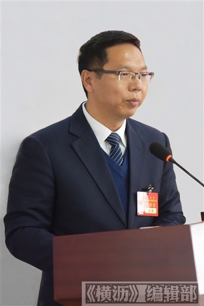 镇委副书记,镇长覃春会上作报告